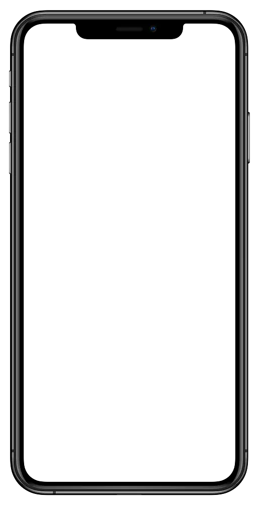 phone screen mockup
